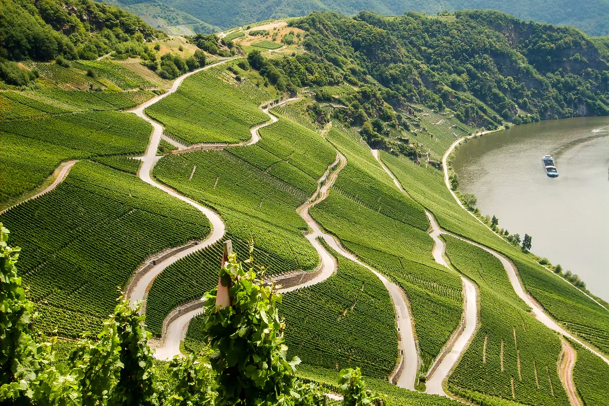 Les merveilleux vignobles de lac de Constance (Bodensee, Allemagne)
Photo © iStock-Steffen_F