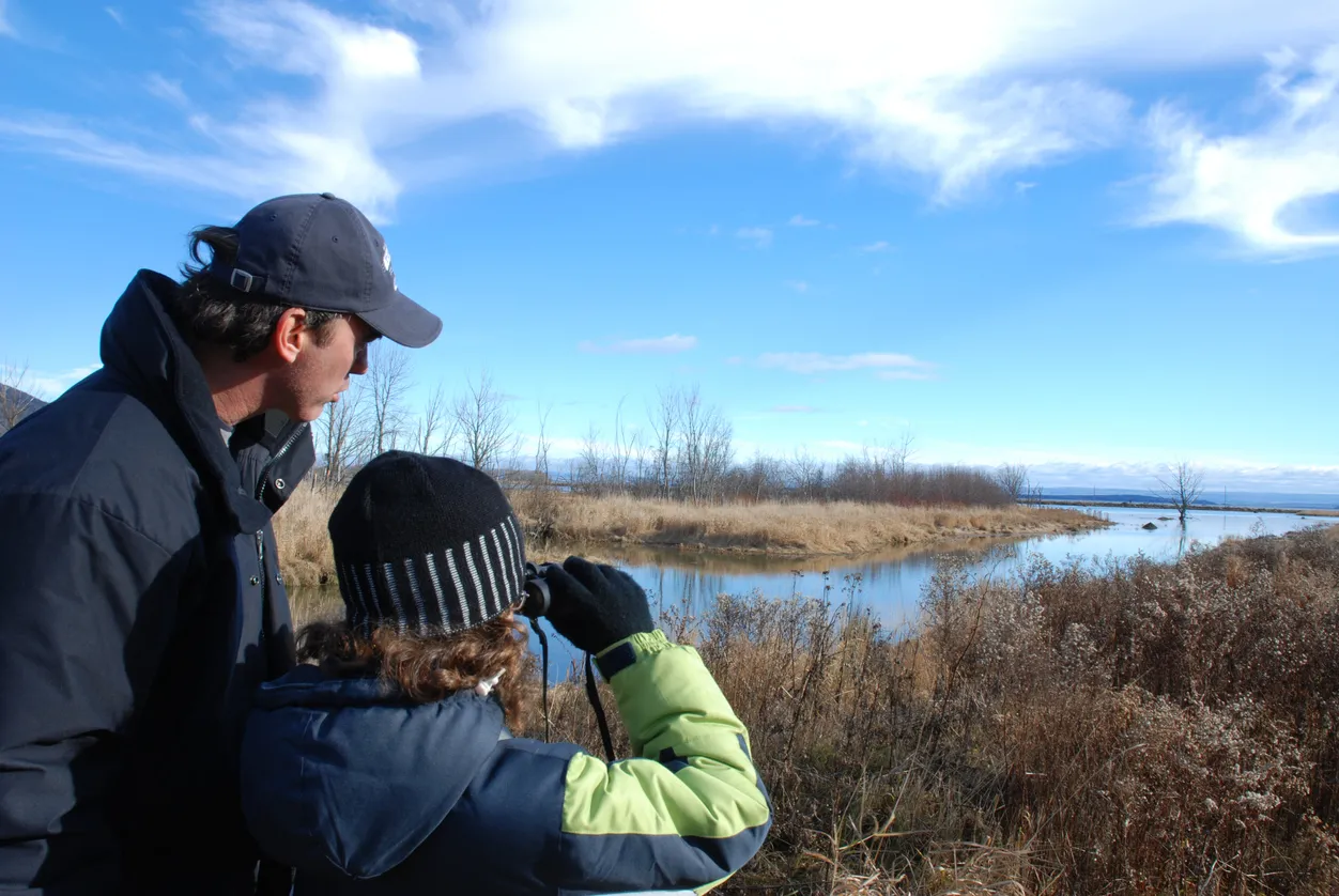 Observation des oiseaux près de Cap Tourmente, Charlevoix © iStock / Shantell