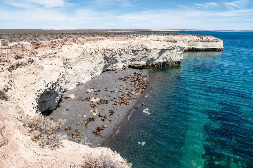 Puerto Madryn, Argentine | iStockphoto.com/vale_t
