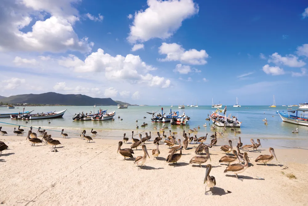 L'Isla Margarita | iStockphoto.com/Alberto L. Pomares G.
