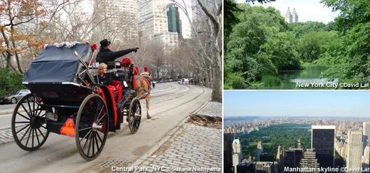 Central Park NYC | ©Suzana Nishiyama